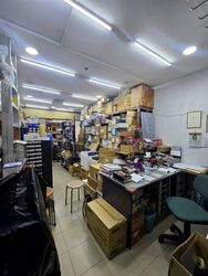 Sim Lim Tower (D8), Shop House #503507351